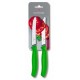 Couteau tomate SwissClassic vert 11 cm - par 2