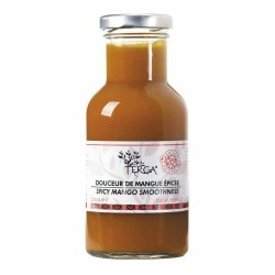 Ketchup gastronomique de mangue épicée 25 cl